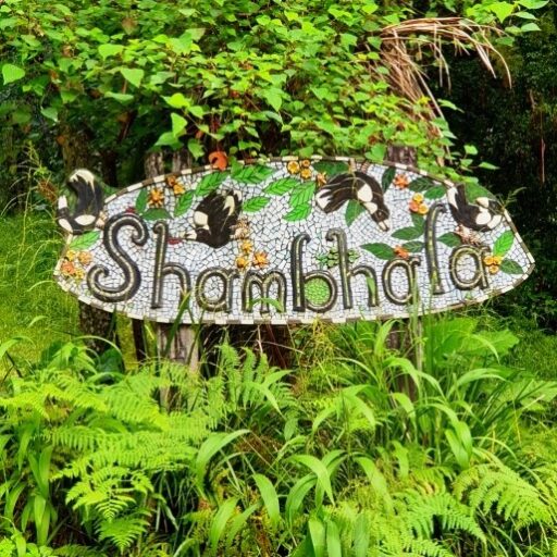Read more about the article Shamballa web site goes live